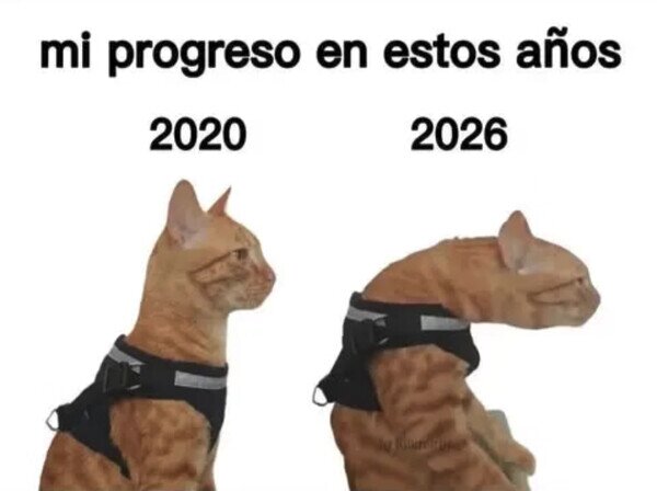Otros - Sólo desarrollé chepa