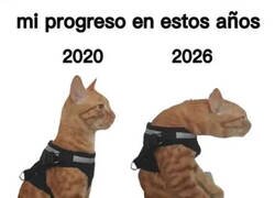 Enlace a Sólo desarrollé chepa