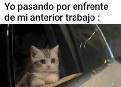 Enlace a Me compadezco de ellos
