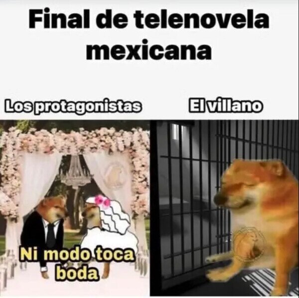 telenovela,boda,c&aacute;rcel,villano