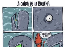 Enlace a La caída de la ballena