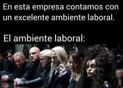 Enlace a Excelente ambiente laboral