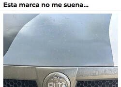 Enlace a Debe ser una nueva