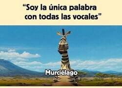 Enlace a De verdad pensaba que era la única