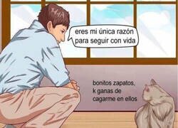 Enlace a Amor de gato