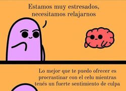 Enlace a Mi único remedio anti-estrés