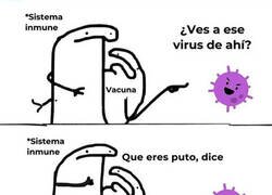 Enlace a Así funcionan las vacunas