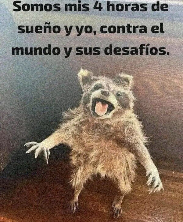 Meme_otros - Cada día, una nueva aventura