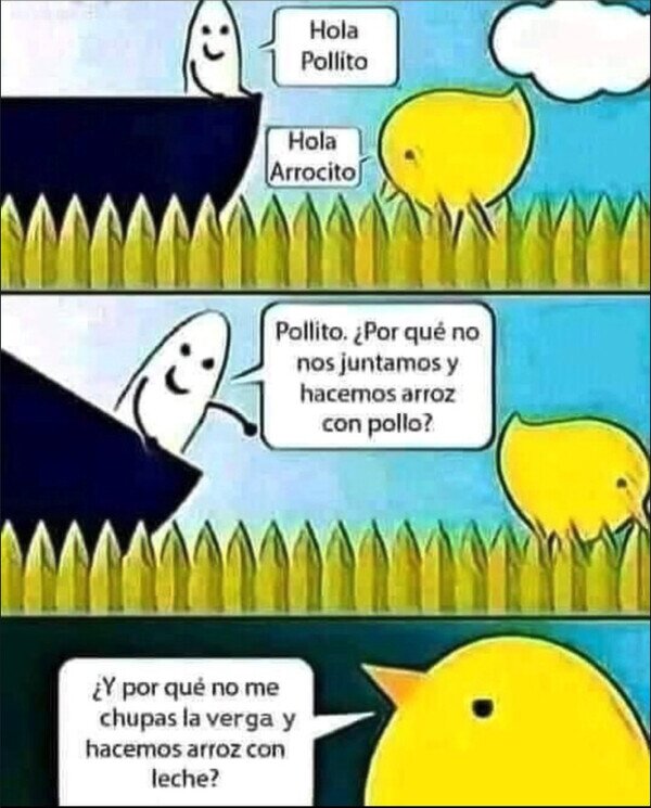 Otros - Pollito y Arrocito