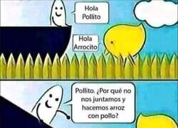 Enlace a Pollito y Arrocito