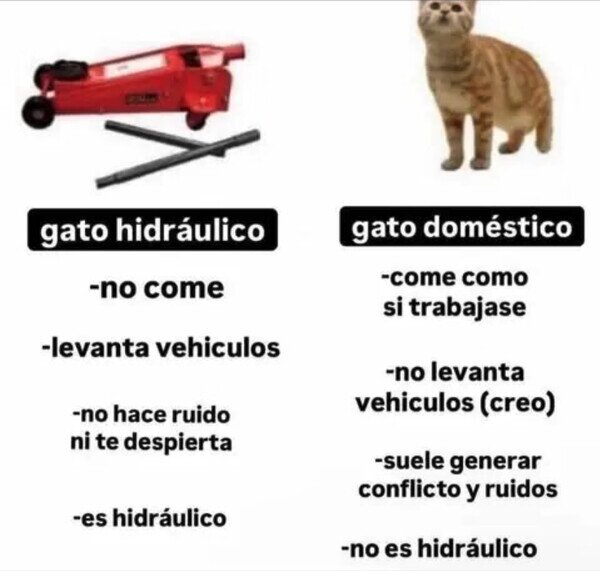 Otros - No hay color