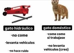 Enlace a No hay color