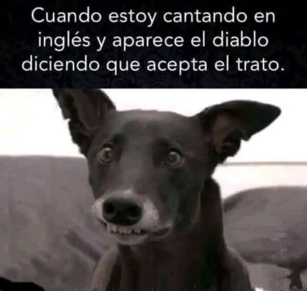 Meme_otros - ¿Qué dialecto antiguo he pronunciado?