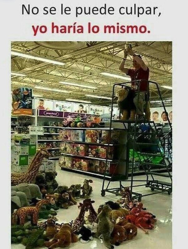 Meme_otros - Todos lo hubiéramos hecho