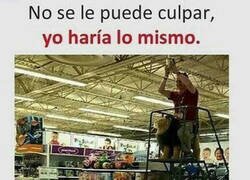 Enlace a Todos lo hubiéramos hecho