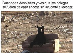 Enlace a Malditos sean