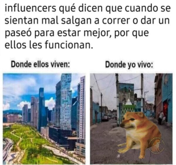 influencers,vivir,calle,salir,correr