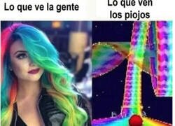 Enlace a Senda Arcoiris para piojos