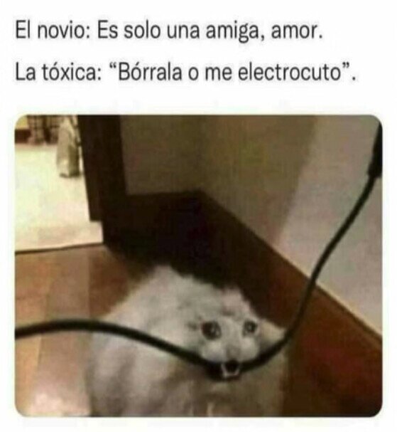 Meme_otros - Mantengamos la calma