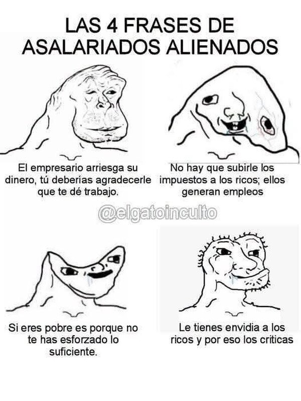 Meme_otros - Detesto escuchar cualquiera de ellas