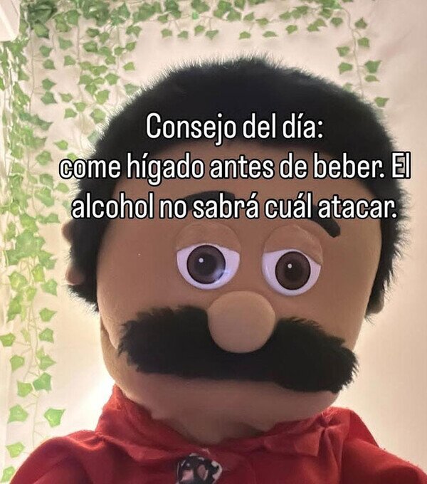 h&iacute;gado,comer,beber,alcohol,consejo