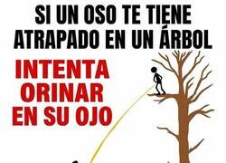 Enlace a Consejo importante