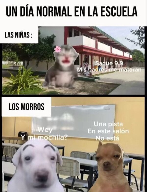Meme_otros - Un día normal en la escuela