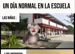 Enlace a Un día normal en la escuela