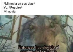Enlace a Altamente irascible