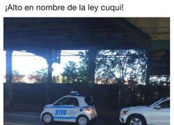Enlace a Me detuvo la mini policía