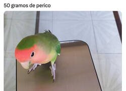 Enlace a Pero estos son legales