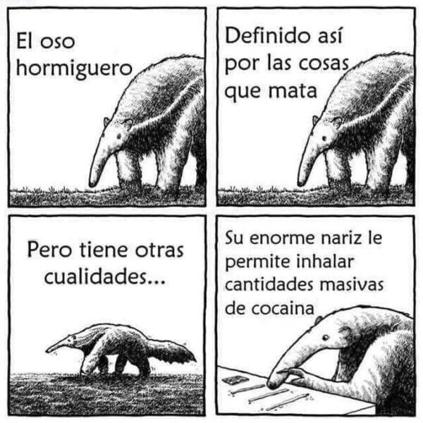 Meme_otros - La cualidades del oso hormiguero