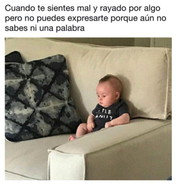 Meme_otros - Su primer bajón