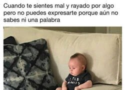 Enlace a Su primer bajón