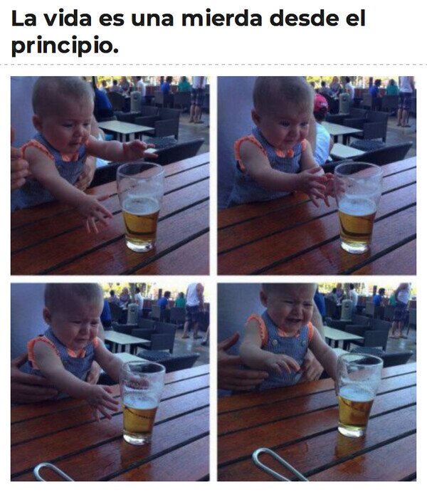 beb&eacute;,cerveza,vida