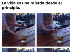 Enlace a Esta vida está llena de prohibiciones