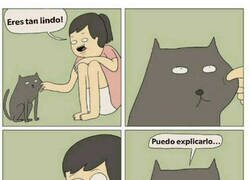 Enlace a Desenmascarado