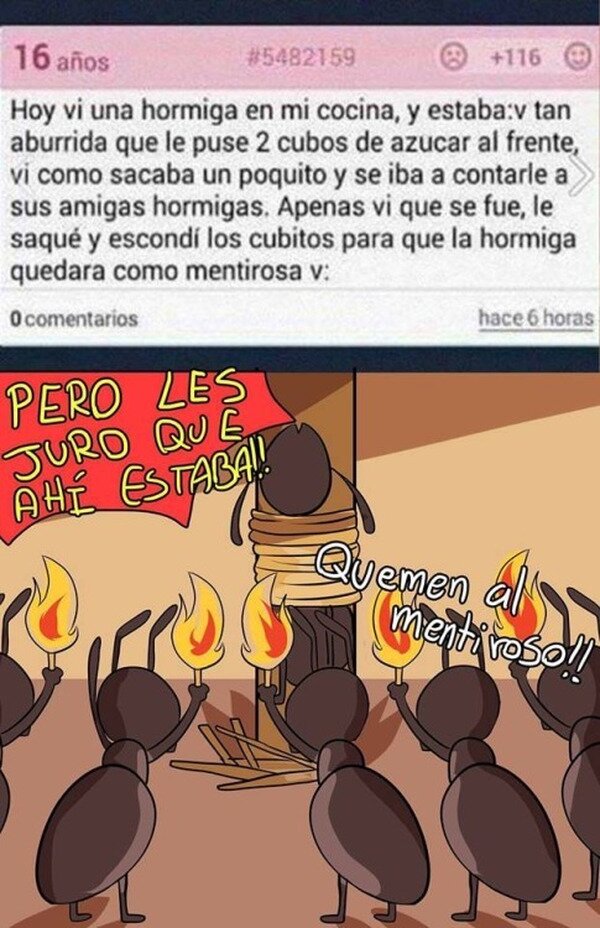 Meme_otros - La hormiga que quedó como mentirosa