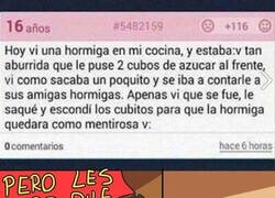 Enlace a La hormiga que quedó como mentirosa