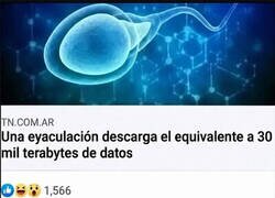Enlace a Diablos, señorita...