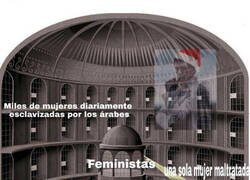Enlace a Ven lo que quieren ver