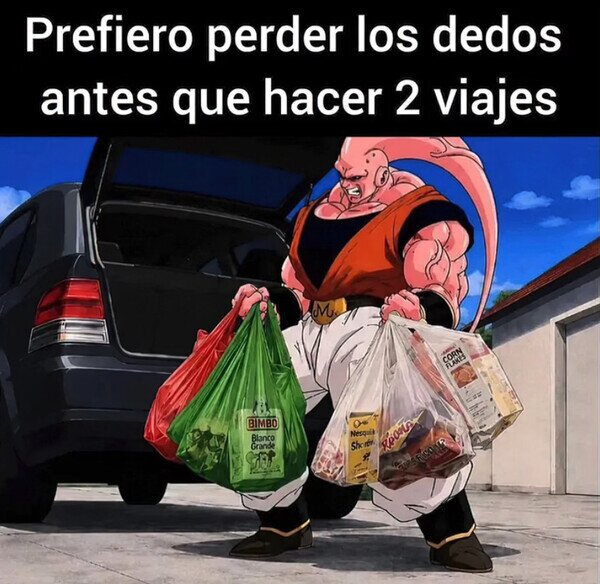 bolsas,compra,viajes,dedos