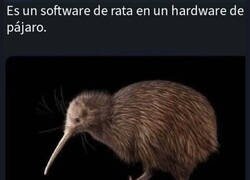 Enlace a La definición de un kiwi