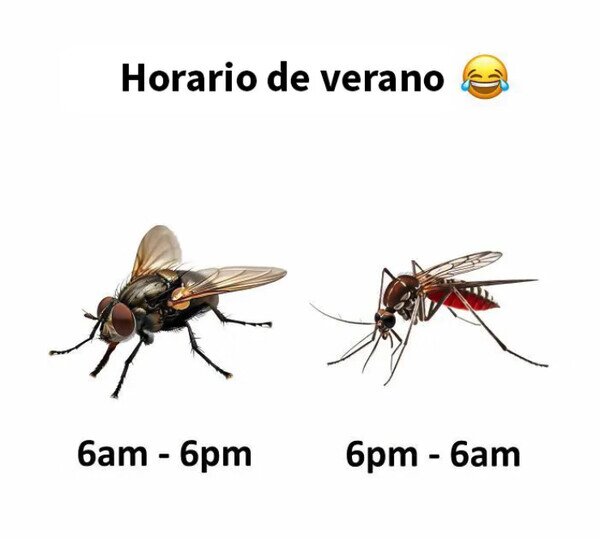 Meme_otros - Se cambian el turno