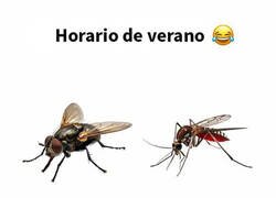 Enlace a Se cambian el turno
