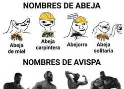 Enlace a Las avispas mandan