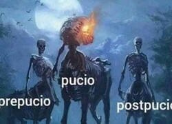 Enlace a Los tres jinetes de la fimosis