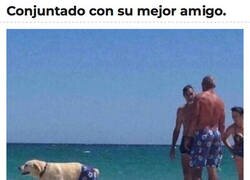 Enlace a Si se pierde, no será difícil encontrarlo