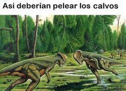 Enlace a Nadie me puede sacar de esta idea