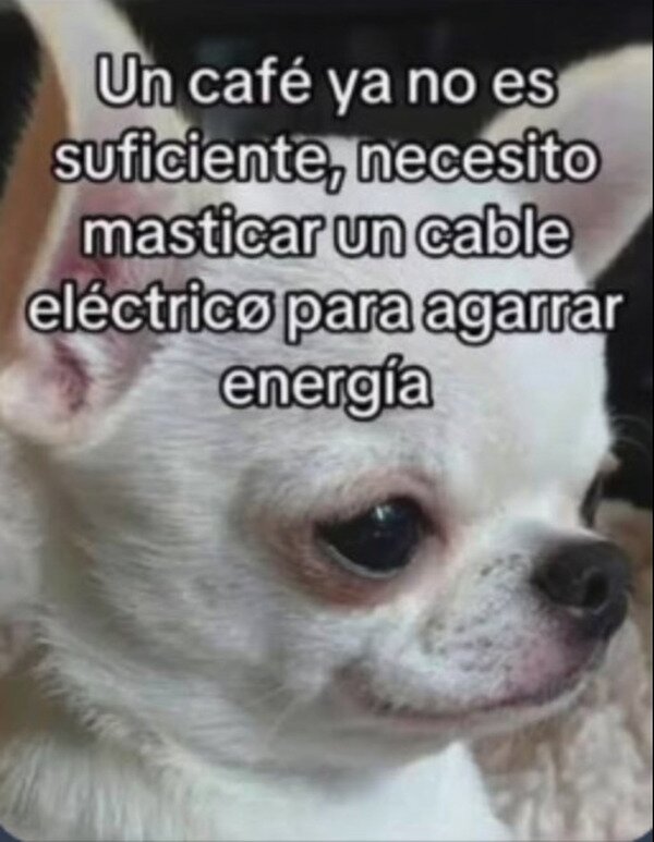 caf&eacute;,cable,energ&iacute;a